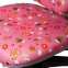 Купить Кресло Goodwin ROYCE KINDER (KY318) Pink flower в Киеве с доставкой по Украине | vincom.com.ua Фото 0