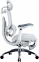 Купити Крісло офісне SIHOO DORO C300 PRO V2 White with footrest у Києві з доставкою по Україні | vincom.com.ua Фото 0