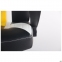 Купить Кресло геймерское AMF VR Racer Dexter Jolt черный/желтый в Киеве с доставкой по Украине | vincom.com.ua Фото 9