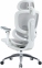 Купити Крісло офісне SIHOO DORO C300 PRO V2 White у Києві з доставкою по Україні | vincom.com.ua Фото 1