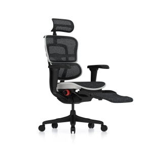 Купити Крісло комп'ютерне Ergohuman Ultra X9 Gaming Legrest Aurora White у Києві з доставкою по Україні | vincom.com.ua