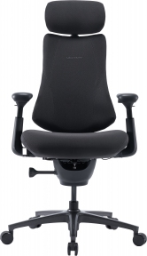 Купить Кресло офисное эргономичное LiberNovo Omni Pro Graphite 48 см в Киеве с доставкой по Украине | vincom.com.ua