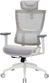Купить Кресло офисное Officepro Elegant OC660-W-DG-DG White/Dark Gray в Киеве с доставкой по Украине | vincom.com.ua