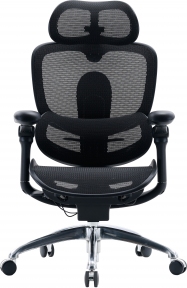 Купить Кресло офисное SIHOO DORO C300 PRO V2 Black в Киеве с доставкой по Украине | vincom.com.ua