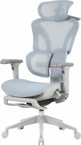 Купити Крісло офісне OfficePro Elite OC950GLB Gray/Light Blue у Києві з доставкою по Україні | vincom.com.ua