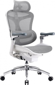 Купити Крісло офісне Sihoo DORO C300 Pro Mesh White у Києві з доставкою по Україні | vincom.com.ua