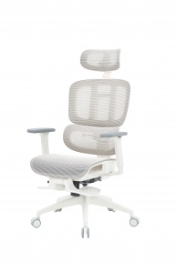 Купить Кресло офисное Officepro Skyline Footrest OC750-W-LG-LG White/Light Gray в Киеве с доставкой по Украине | vincom.com.ua