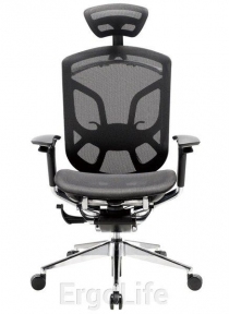 Купить Кресло офисное GT Chair Dvary X Black в Киеве с доставкой по Украине | vincom.com.ua