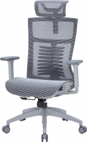 Купить Кресло офисное Officepro Balance OC620-G-DG-DG Gray/Dark Gray в Киеве с доставкой по Украине | vincom.com.ua