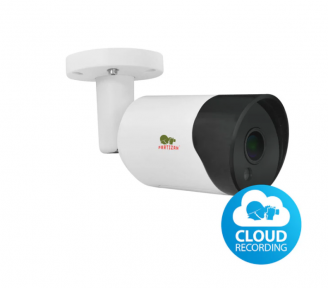 Купить Видеокамера IP Partizan IPO-2SP SE 4.7 Cloud 4.0MP в Киеве с доставкой по Украине | vincom.com.ua