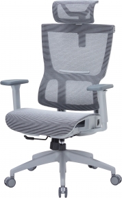 Купити Крісло офісне Officepro Elegant OC660-G-DG-DG Gray/Dark Gray у Києві з доставкою по Україні | vincom.com.ua