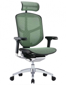 Купить Кресло офисное Comfort Seating ENJOY Elite 2 (EJE2-AB-HAM-5D-L, сетка T-168-B6 Green) в Киеве с доставкой по Украине | vincom.com.ua