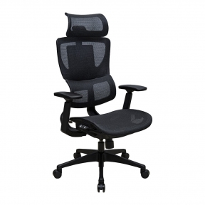 Купити Крісло офісне Richman Ergotex Black Pl у Києві з доставкою по Україні | vincom.com.ua