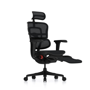Купити Крісло комп'ютерне Ergohuman Ultra X9 Gaming Legrest Black у Києві з доставкою по Україні | vincom.com.ua