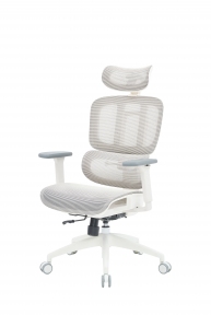Купить Кресло офисное Officepro Skyline OC680-W-LG-LG White/Light Gray в Киеве с доставкой по Украине | vincom.com.ua
