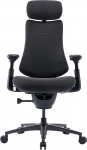Крісло офісне ергономічне LiberNovo Omni Pro Graphite 48 см