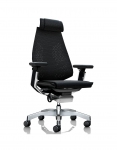 Кресло компьютерное Comfort Seating GENIDIA GN2 MESH BLACK FRAME