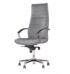Крісло офісне Новий Стиль Iris steel MPD AL70