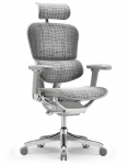 Крісло комп'ютерне Ergohuman SE Legrest (EHSE-AG-HAM-5D-E-D+LM-CH) Gray Special Edition
