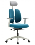 Крісло офісне DUOREST GOLD D2500G-DASW blue/green ортопедичне