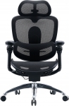 Крісло офісне SIHOO DORO C300 PRO V2 Black
