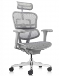 Крісло комп'ютерне ERGOHUMAN PROJECT 2 Grey