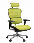 Кресло компьютерное ERGOHUMAN Plus Green