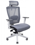 Крісло офісне ERGO CHAIR 2 Mesh White/Gray ергономічне