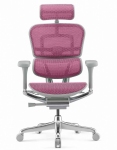 Кресло компьютерное ERGOHUMAN ELITE 2 (EHE2-AG-HAM-5D-L) сетка T-168-B5 PINK