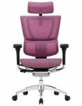 Крісло комп'ютерне MIRUS-IOO 2 (IOOE2-AB-HAM-5D-L) сетка T-168-B5 pink