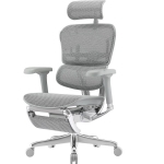 Крісло комп'ютерне ERGOHUMAN LUXURY 2 Legrest (EHL2-AG-HAM-5D-E-L+LM) Grey