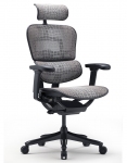 Крісло комп'ютерне Ergohuman SE Legrest (EHSE-AB-HAM-5D-E-D+LM-CH) Black Special Edition