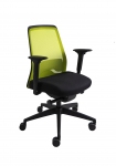 Крісло офісне Interstuhl EVERYis1 EV216 MH01/Green mesh