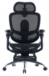 Крісло офісне SIHOO DORO C300 PRO V2 Black with footrest