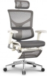 Крісло комп'ютерне Expert SAIL Grey ергономічне з підставкою