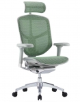 Крісло офісне Comfort Seating ENJOY Elite 2 (EJE2-AG-HAM-5D-L, сетка T-168-B6 Green)