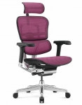 Крісло комп'ютерне ERGOHUMAN ELITE 2 (EHE2-AB-HAM-5D-L) сетка T-168-B5 Pink