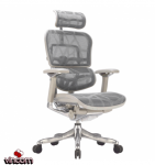 Крісло комп'ютерне ERGOHUMAN Plus Luxury (EHPL-AG-HAM) Grey