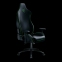 Кресло геймерское Razer Iskur X Green XL (RZ38-03960100-R3G1)